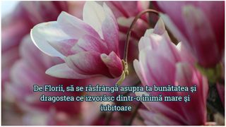 Mesaje creștine de Florii 2023. Urări și felicitări pentru Duminica Floriilor. „De Florii, să se răsfrângă asupra ta bunătatea şi dragostea ce izvorăsc dintr-o inimă mare şi iubitoare”