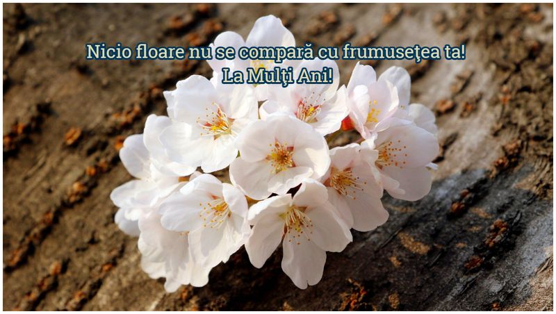 Mesaje creștine de Florii 2023. Urări și felicitări pentru Duminica Floriilor