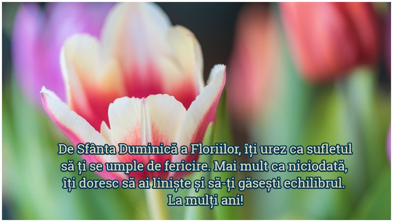 Mesaje creștine de Florii 2023. Urări și felicitări pentru Duminica Floriilor