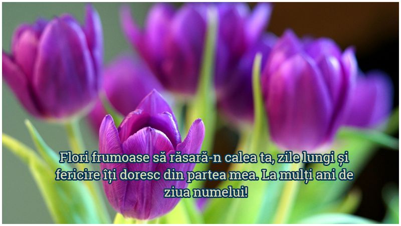 Mesaje creștine de Florii 2023. Urări și felicitări pentru Duminica Floriilor