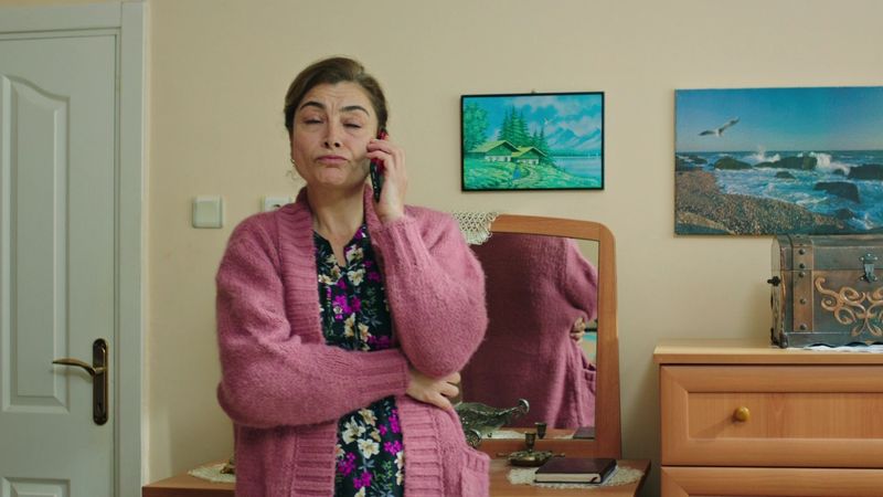 Astazi, la Kanal D2, de la ora 18:00, in “Instinct de mama”,   Hicran, tot mai apropiata de Melek