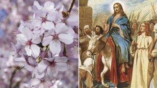 Tradiții și obiceiuri de Florii. Cum se sărbătorește ziua în care Iisus a intrat în Ierusalim