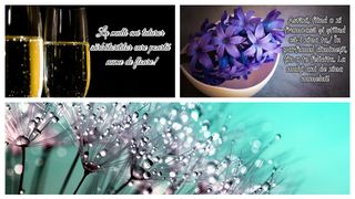 Mesaje frumoase de Florii 2023. Idei de urări și felicitări originale pentru sărbătoriții cu nume de floare