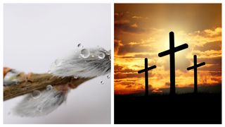 Florii 2023. Când se ia salcie de la Biserică? Programul complet al slujbelor oficiate de Biserica Ortodoxă