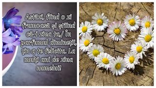 Mesaje de Florii 2023. Trimite cele mai frumoase urări: „Ziua numelui să-ti fie plină de realizări și să te bucuri mereu de orice lucru frumos din viața ta! La mulți ani!”