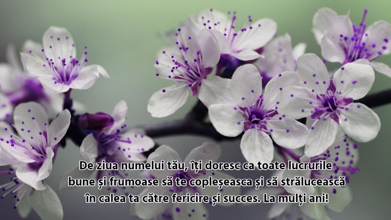 Mesaje, urări și felicitări de Florii 2023