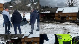 VIDEO |Adi a murit după ce a fost &icirc;mpușcat de un inginer silvic care voia să sacrifice un vițel