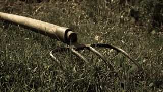 Bătrânul le-a mărturisit polițiștilor buzoieni că ar fi fost nemulțumit de faptul că animalul scăpat din curtea vecinei sale i-a atacat mai multe ovine