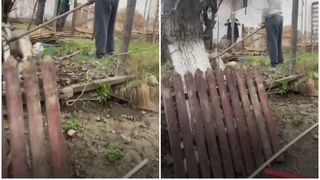 Un bărbat de 83 de ani a fost filmat în timp ce încerca să omoare un câine cu o furcă