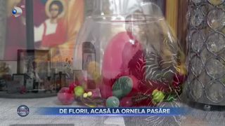 De Florii, acasă la Ornela Pasăre