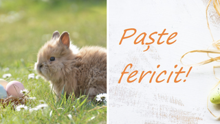 Paște 2023. Mesaje, urări și felicitări. ”Bucuria vine din lucruri mărunte. Liniştea vine din suflet. Lumină vine din inima fiecăruia. Paște Fericit!”