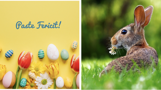Mesaje de Paște 2023. ,,Fie ca Învierea Domnului să va aducă pacea în casă și în suflet, să va ofere speranță, sănătate și noroc. Hristos a Înviat!''