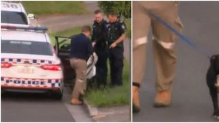 Fetiță de 6 ani, mutilată de doi câini agresivi, după ce au sărit peste un gard/ ”Am aruncat cu un scaun în câine”