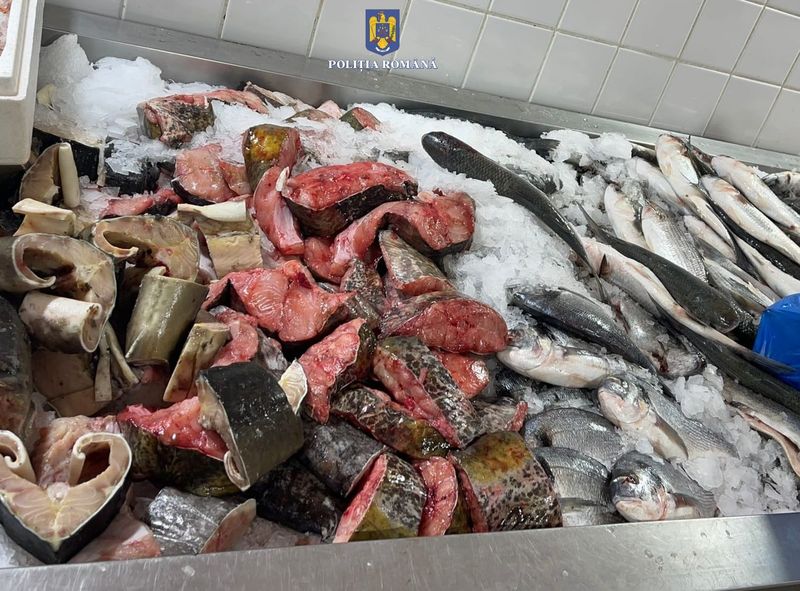 FOTO - Dosare penale pentru braconaj piscicol în Constanța. Au fost legitimate peste 200 de persoane