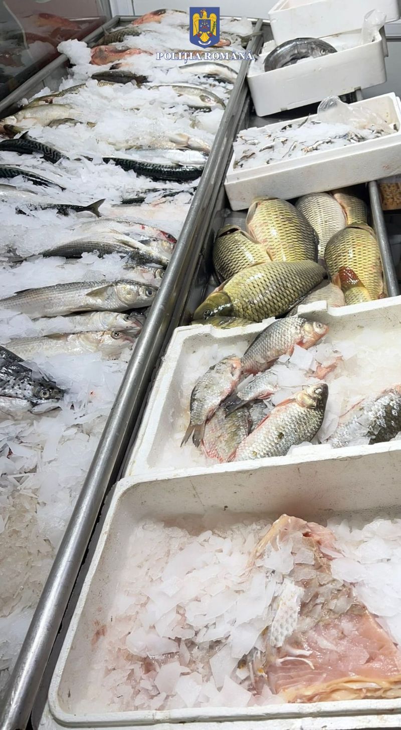 FOTO - Dosare penale pentru braconaj piscicol în Constanța. Au fost legitimate peste 200 de persoane