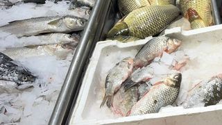 FOTO - Dosare penale pentru braconaj piscicol &icirc;n Constanța. Au fost legitimate peste 200 de persoane