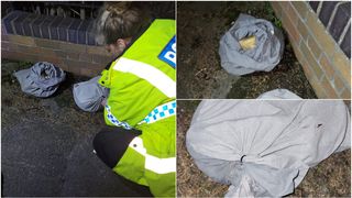 FOTO - Descoperire inedită pe marginea drumului! O femeie a găsit mai multe fețe de pernă care aveau ceva viu înauntru: „Erau patru grade când i-am găsit”