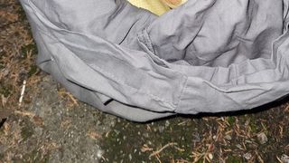 Descoperire inedită pe marginea drumului! O femeie a găsit mai multe fețe de pernă care aveau ceva viu înauntru: „Erau patru grade când i-am găsit”