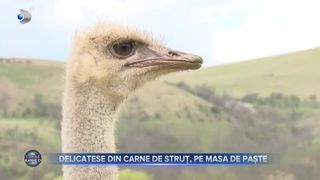 Delicatese din carne de struț, pe masa de Paște