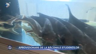 Aprovizionarea de la băcăniile studenților