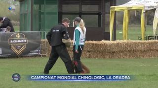 Campionat mondial chinologic, la Oradea