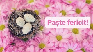 Mesaje Paște Fericit 2023: Urări și felicitări pentru &Icirc;nvierea Domnului