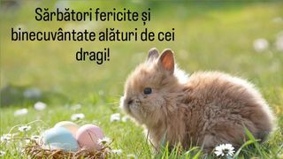 Mesaje Paște Fericit 2023: Urări și felicitări pentru &Icirc;nvierea Domnului