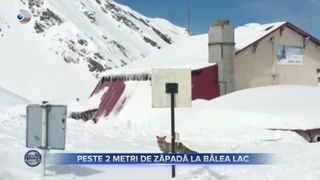 Peste 2 metri de zăpadă la Bâlea Lac