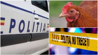 FOTO - Un bărbat din Tomești a fost dat dispărut, după ce a băut o sticlă de vin cu un vecin și a cumpărat o găină. El a fost găsit mort, după o săptămână de căutări