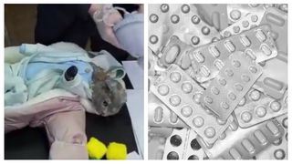 VIDEO O femeie și-a îmbrăcat pisica în bebeluș pentru a transporta droguri