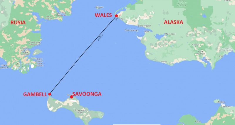 El este cățelul care a traversat Marea Bering de unul singur. Nanuq a călătorit 270 de kilometri pe apa înghețată