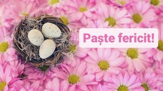 Noaptea de &Icirc;nviere 2023. 