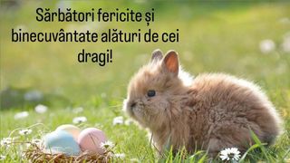 Noaptea de &Icirc;nviere 2023. 