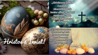 Noaptea de &Icirc;nviere 2023. 