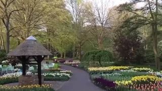 FOTO - Cea mai mare grădină cu flori din lume a fost deschisă pentru vizitatori. Unde se află aceasta