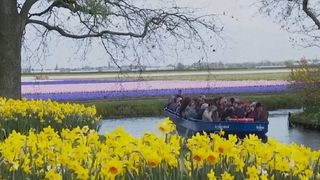 FOTO - Cea mai mare grădină cu flori din lume a fost deschisă pentru vizitatori. Unde se află aceasta