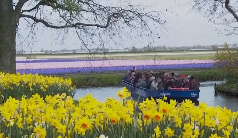 FOTO - Cea mai mare grădină cu flori din lume a fost deschisă pentru vizitatori. Unde se află aceasta