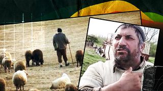 Noi detalii în cazul ciobanului care și-a ucis prietenul în timp ce tăiau un miel. Bărbatul a fost reținut