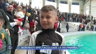 VIDEO- Acrobații spectaculoase la Delfinariul din Constanța