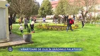VIDEO- Vânătoare de ouă în grădinile palatului Brukenthal din Avrig