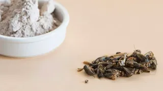 Liderii globali au susținut oportunitățile oferite de insecte pentru a combate schimbările climatice. 