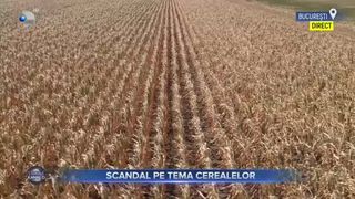 Scandal pe tema cerealelor