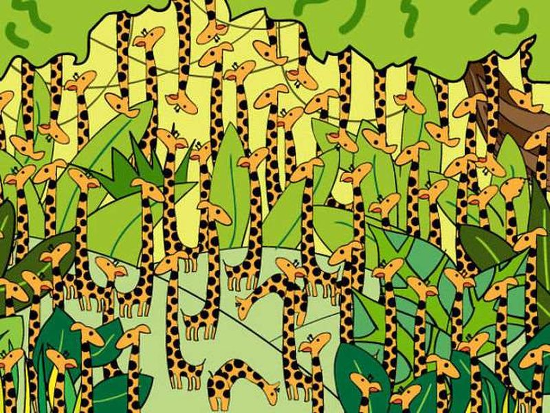 Testul IQ pe care puțini pot să-l rezolve. Ai 9 secunde să găsești șarpele din imagine