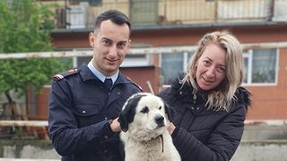 VIDEO - Misiune de suflet în ziua de Paște. Pompierii au intervenit pentru a salva un câine dintr-o apă