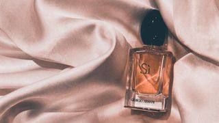 Parfumuri pentru bărbați vs parfumuri pentru femei: ce le diferențiază?