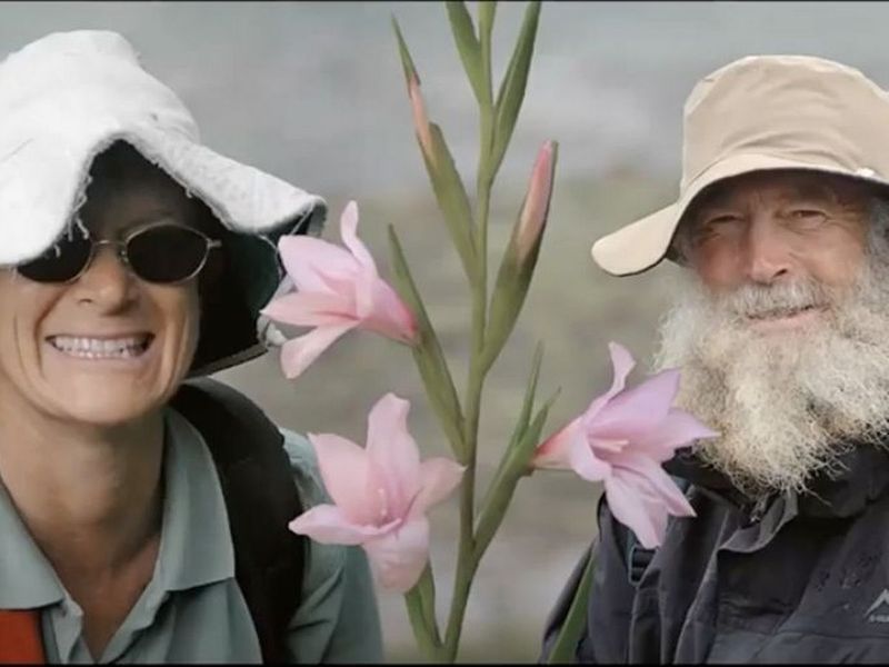 Botaniști aruncați la crocodili 