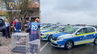 Scene șocante: un bărbat a ținut zeci de animale și păsări fără hrană