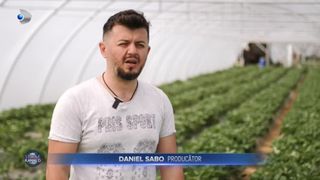 Cât costă primele căpșuni românești