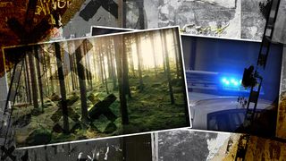 Trei tineri au fost agresați &icirc;n pădure de polițiști falși