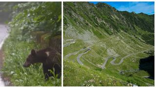 Cei doi turiști au fost impresionați de curbele spectaculoase dar nu și de gunoaiele din jur și de aglomerație.